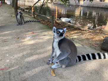 神戸どうぶつ王国に投稿された画像（2022/4/10）