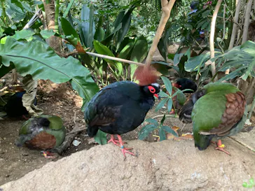 神戸どうぶつ王国に投稿された画像（2022/4/10）