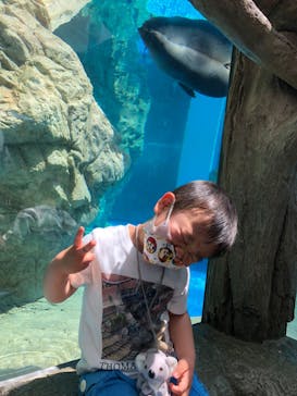 京都鉄道博物館×京都水族館に投稿された画像（2022/4/10）