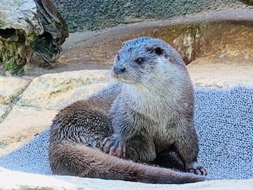 那須どうぶつ王国に投稿された画像（2022/4/10）