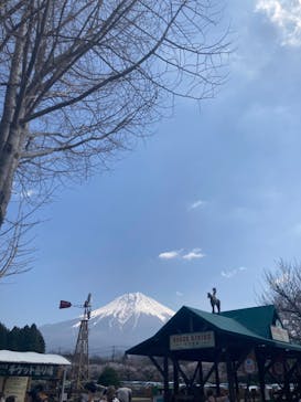 まかいの牧場に投稿された画像（2022/4/10）