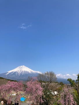 まかいの牧場に投稿された画像（2022/4/10）