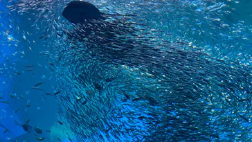 仙台うみの杜水族館に投稿された画像（2022/4/10）