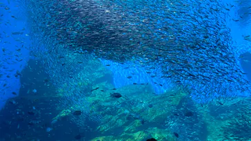 仙台うみの杜水族館に投稿された画像（2022/4/10）