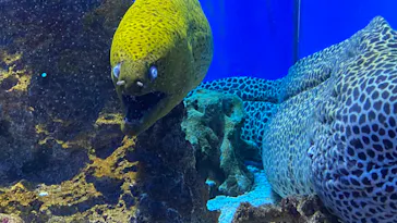 仙台うみの杜水族館に投稿された画像（2022/4/10）