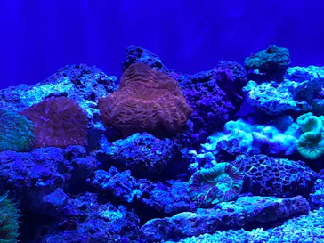 仙台うみの杜水族館に投稿された画像（2022/4/10）