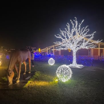 東京メガイルミに投稿された画像（2022/4/9）