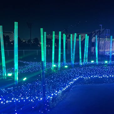 東京メガイルミに投稿された画像（2022/4/9）