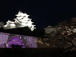 姫路城（イベント）に投稿された画像（2022/4/11）