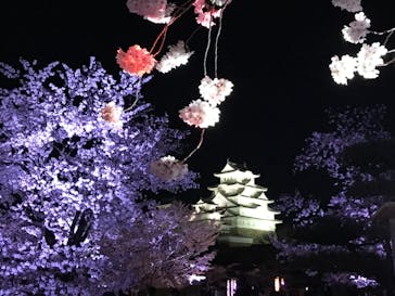 姫路城（イベント）に投稿された画像（2022/4/10）