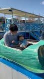 伊豆ぐらんぱる公園に投稿された画像（2022/4/11）