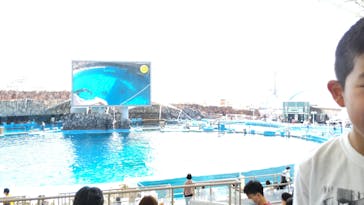 名古屋港水族館に投稿された画像（2022/4/10）