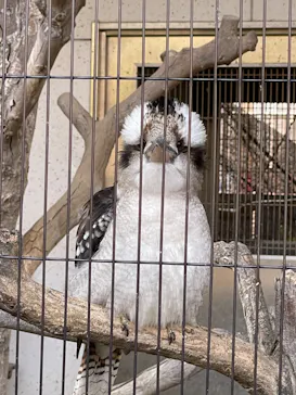 天王寺動物園に投稿された画像（2022/4/10）