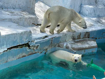 天王寺動物園に投稿された画像（2022/4/10）