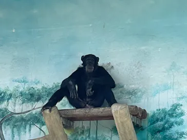 天王寺動物園に投稿された画像（2022/4/10）