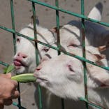 伊豆アニマルキングダムに投稿された画像（2022/4/11）