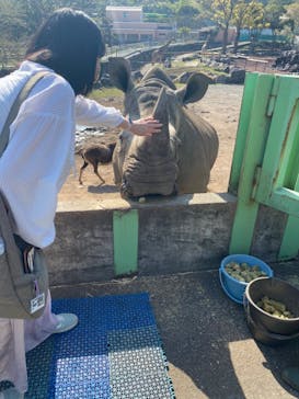 伊豆アニマルキングダムに投稿された画像（2022/4/10）