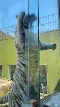 伊豆アニマルキングダムに投稿された画像（2022/4/10）