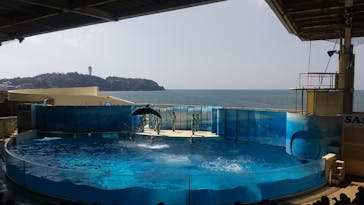 新江ノ島水族館に投稿された画像（2022/4/10）