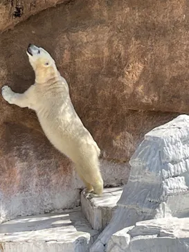 天王寺動物園に投稿された画像（2022/4/10）