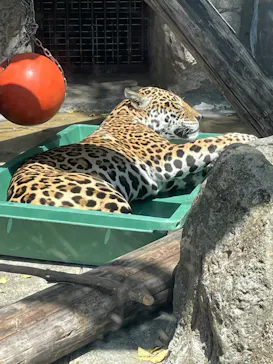天王寺動物園に投稿された画像（2022/4/10）
