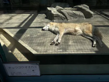 天王寺動物園に投稿された画像（2022/4/10）