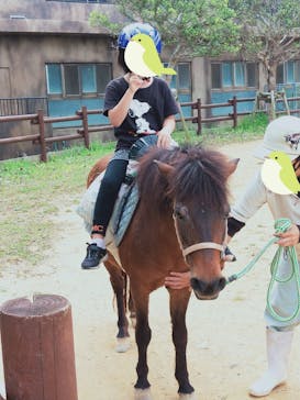 沖縄こどもの国に投稿された画像（2022/4/11）