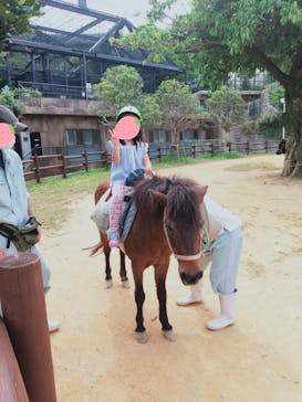沖縄こどもの国に投稿された画像（2022/4/11）