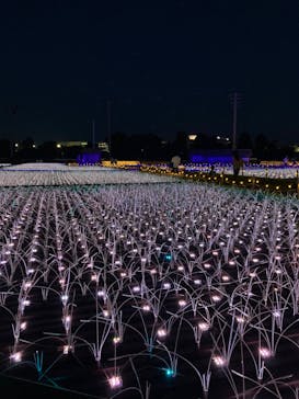 東京メガイルミに投稿された画像（2022/4/11）