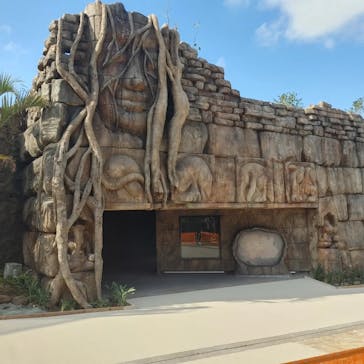 沖縄こどもの国に投稿された画像（2022/4/11）