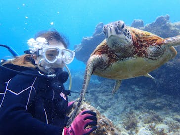 屋久島自然案内に投稿された画像（2022/4/11）