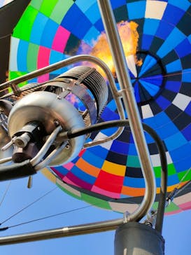 ウイニングバルーンクラブに投稿された画像（2022/4/11）