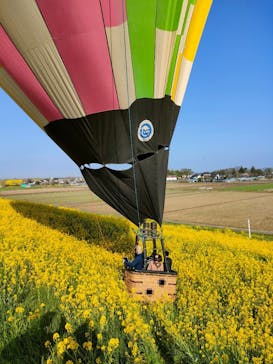 ウイニングバルーンクラブに投稿された画像（2022/4/11）