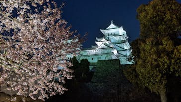 姫路城（イベント）に投稿された画像（2022/4/11）