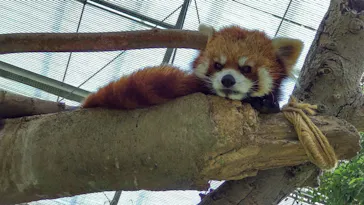 神戸どうぶつ王国に投稿された画像（2022/4/11）