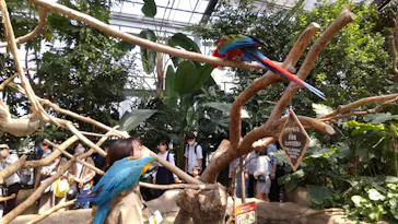 神戸どうぶつ王国に投稿された画像（2022/4/11）