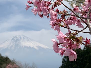 まかいの牧場に投稿された画像（2022/4/11）
