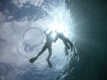 武藤潜水に投稿された画像（2022/4/11）