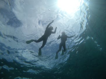 武藤潜水に投稿された画像（2022/4/11）