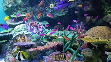 サンシャイン水族館に投稿された画像（2022/4/11）