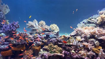 サンシャイン水族館に投稿された画像（2022/4/11）