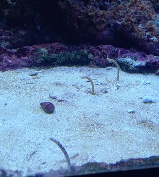 サンシャイン水族館に投稿された画像（2022/4/11）