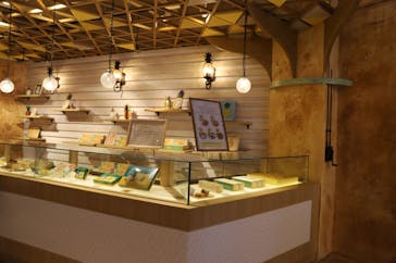 ナゴパイナップルパークに投稿された画像（2022/4/11）