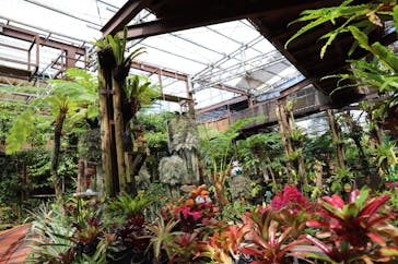 ナゴパイナップルパークに投稿された画像（2022/4/11）