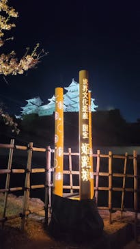 姫路城（イベント）に投稿された画像（2022/4/11）