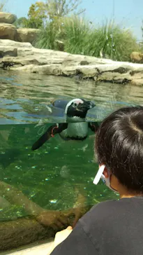 神戸どうぶつ王国に投稿された画像（2022/4/11）