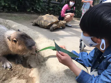 神戸どうぶつ王国に投稿された画像（2022/4/11）