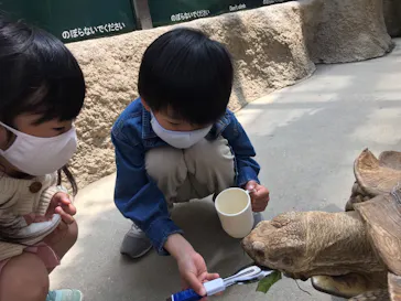 神戸どうぶつ王国に投稿された画像（2022/4/11）