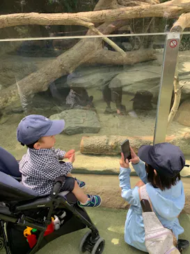 神戸どうぶつ王国に投稿された画像（2022/4/11）