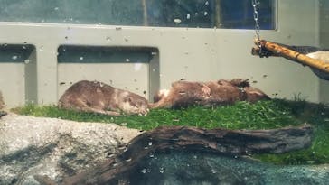 サンシャイン水族館に投稿された画像（2022/4/11）